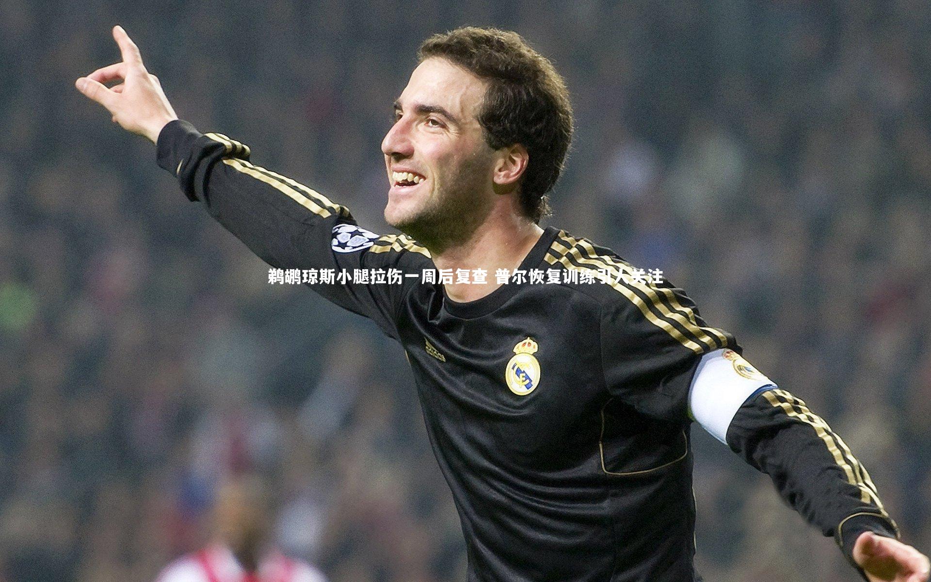 鹈鹕琼斯小腿拉伤一周后复查 普尔恢复训练引人关注